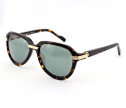 cartier-aesthetic-acetate-retro-full-frame-sunglasses-ct1136-8