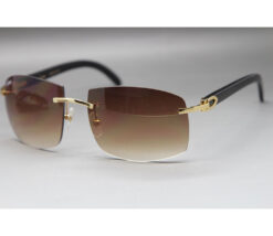 cartier-horn-big-lenses-sunglasses-classic-rimless-ct3524012-19