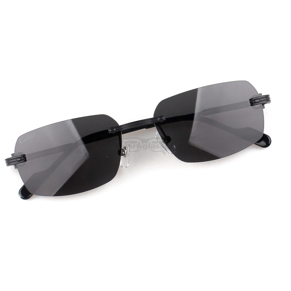 Cartier C Decor Acetate Titanium Rimless Sunglasses CT0271 (7)