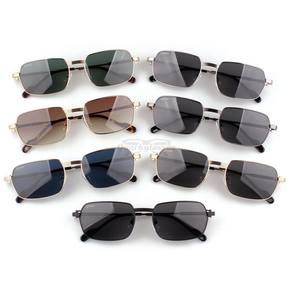 Cartier C Decor Titanium Acetate Full Frame Sunglasses CT0463 (1)