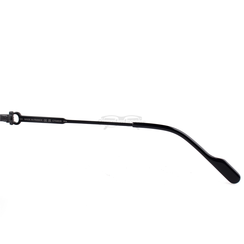 Cartier C Decor Titanium Acetate Full Frame Sunglasses CT0463 (10)