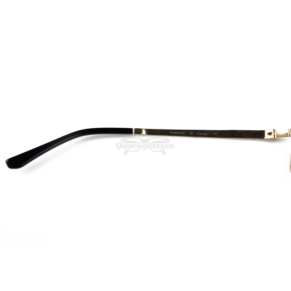 Cartier Santos De Titanium Acetate Full Frame Eyeglasses CT0555 (10)
