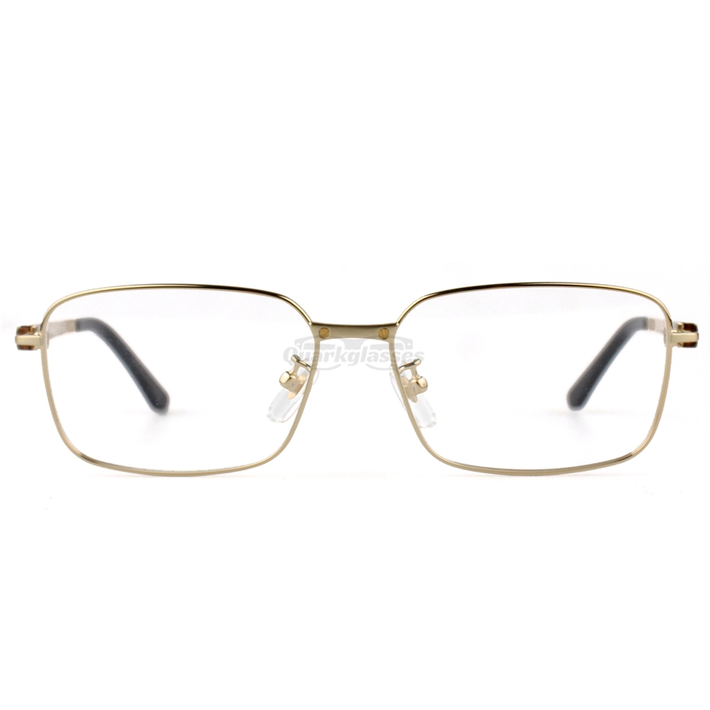 Cartier Santos De Titanium Acetate Full Frame Eyeglasses CT0555 (3)