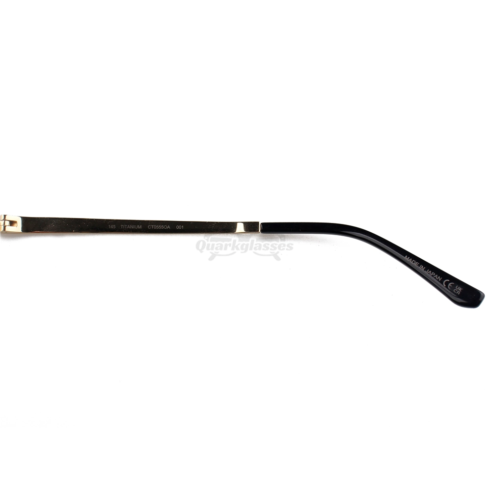 Cartier Santos De Titanium Acetate Full Frame Eyeglasses CT0555 (9)