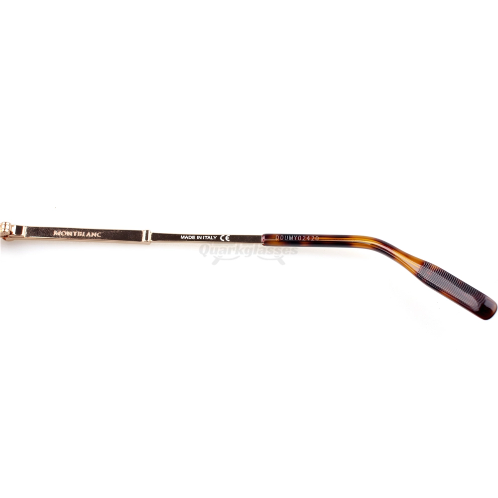 Montblanc Snowcap Emblem Metal Full Frame Eyeglasses MB0095 (7)