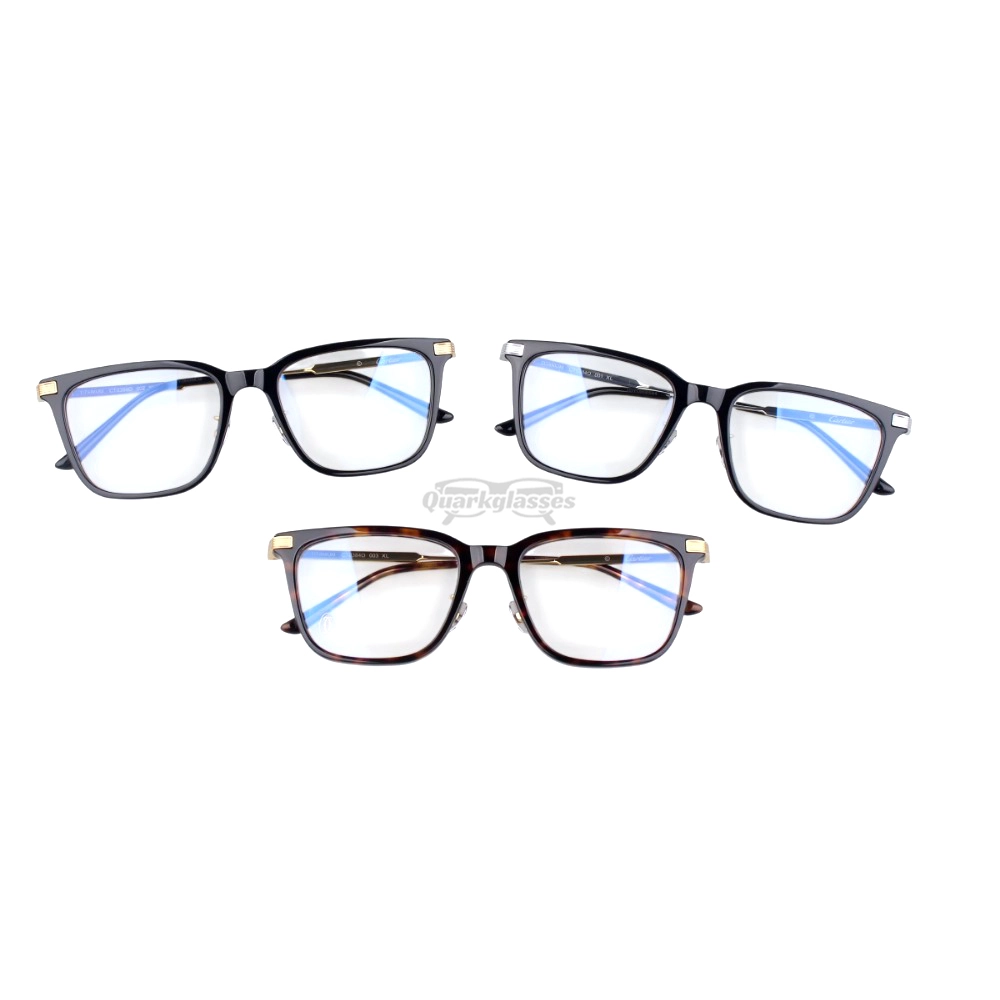 Cartier Première De Titanium Full Frame Eyeglasses CT0384 (9)