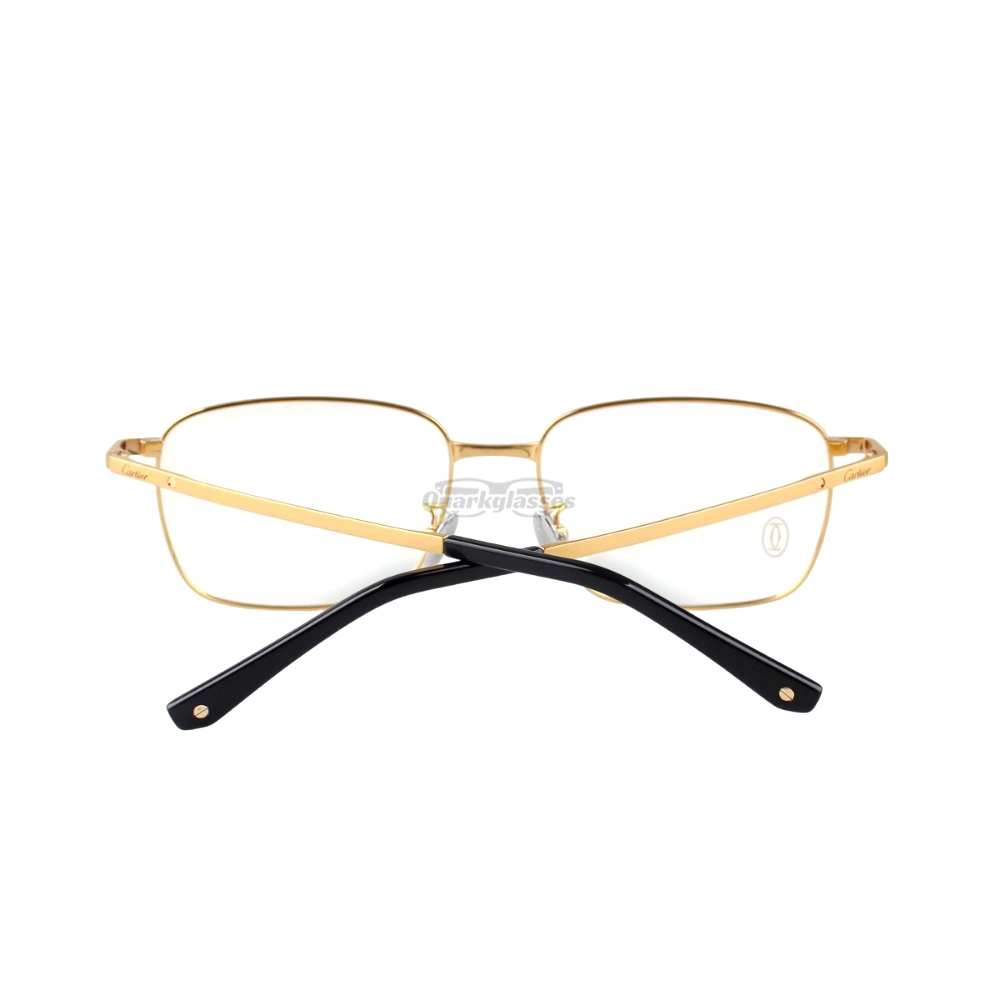 Cartier Santos De Double Bridge Titanium Full Frame Eyeglasses CT0320 (10)