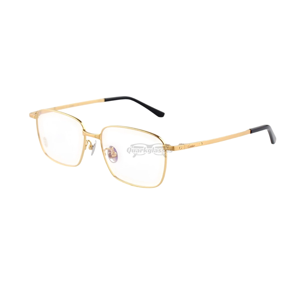 Cartier Santos De Double Bridge Titanium Full Frame Eyeglasses CT0320 (12)