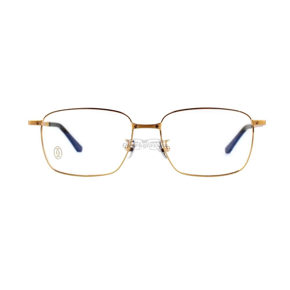 Cartier Santos De Double Bridge Titanium Full Frame Eyeglasses CT0320 (13)