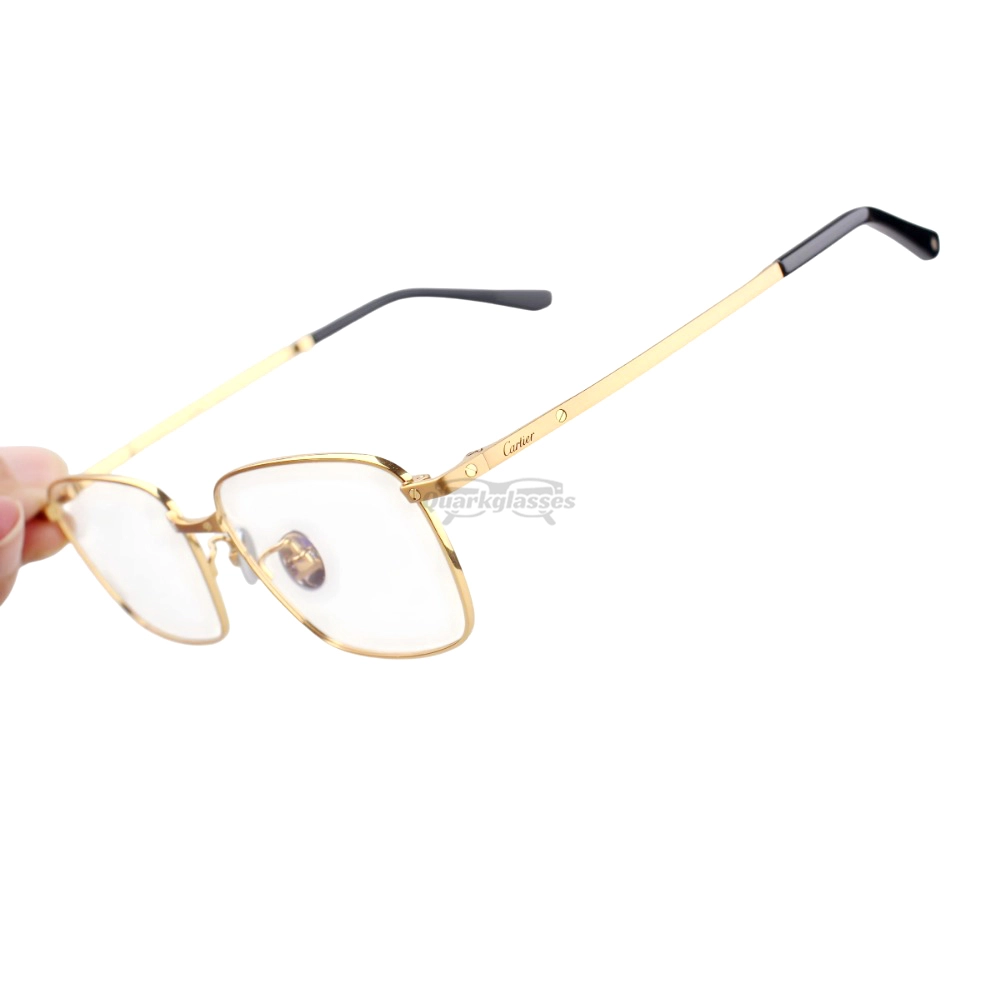 Cartier Santos De Double Bridge Titanium Full Frame Eyeglasses CT0320 (9)