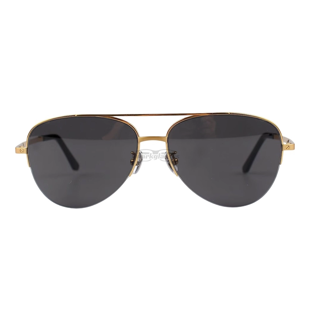 Cartier Santos De Titanium Pilot Double Bridge Half Frame Sunglasses CT0256O (3)