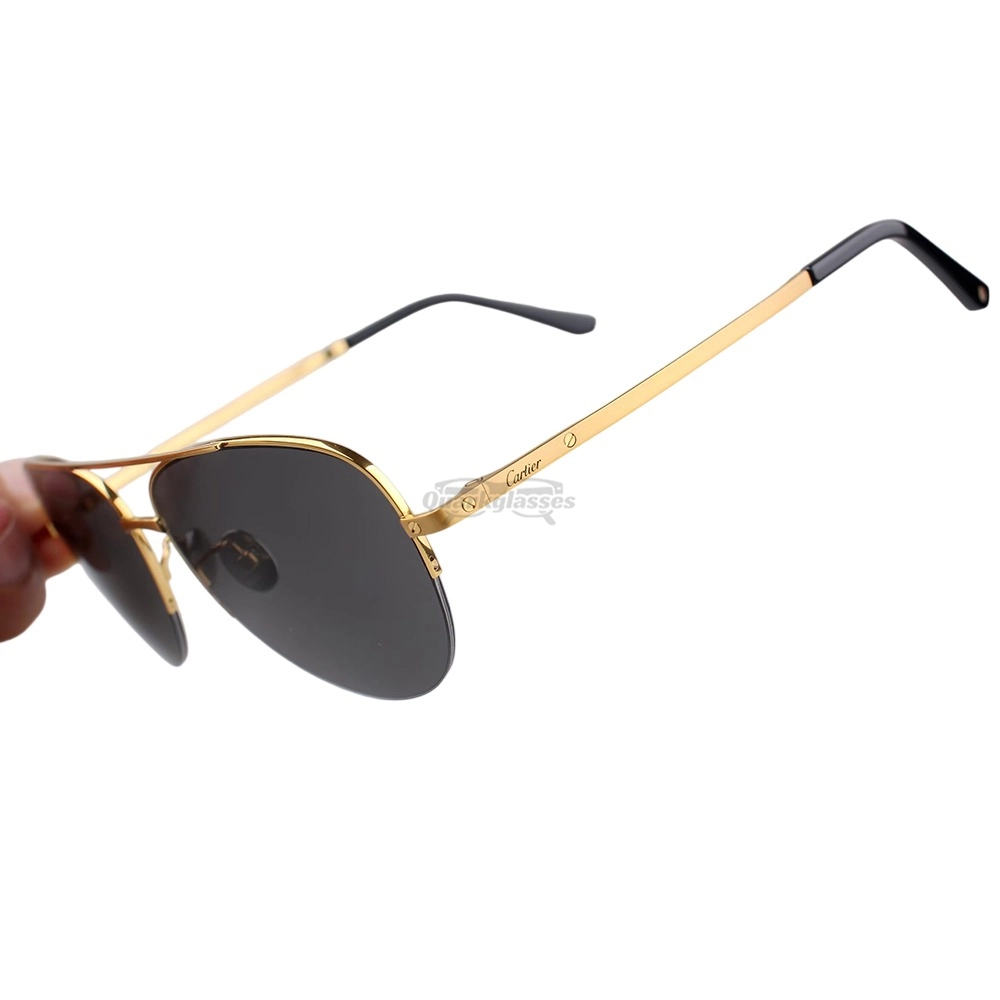 Cartier Santos De Titanium Pilot Double Bridge Half Frame Sunglasses CT0256O (7)